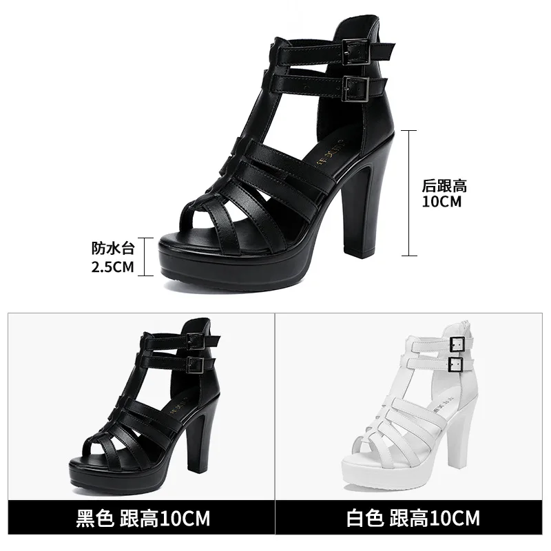 Gladiator Ladies Shoe for Wome - огляд і ціна Summer Clothing Sale Women